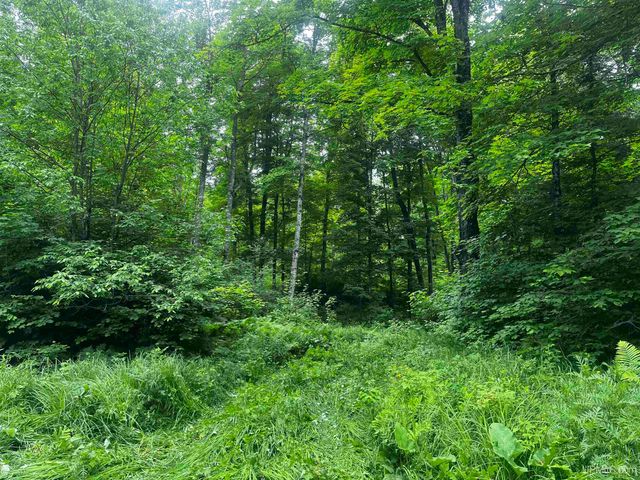 40 acres The Grade Road, Amasa, MI 49920