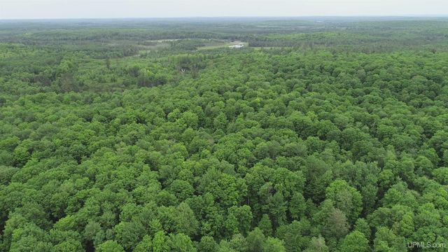 40 acres The Grade Road, Amasa, MI 49920