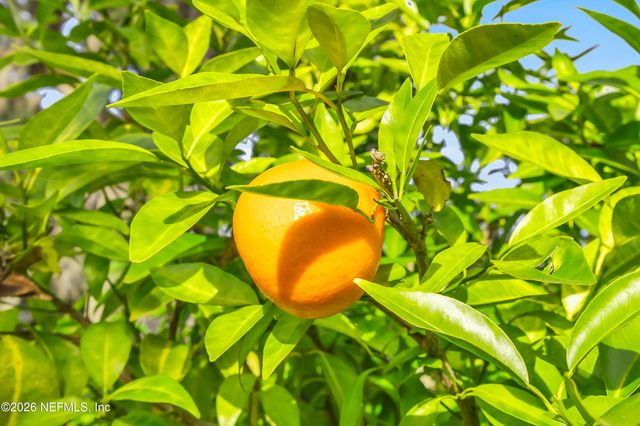 117 INDIAN HAMMOCK Lane, Ponte Vedra Beach, FL 32082