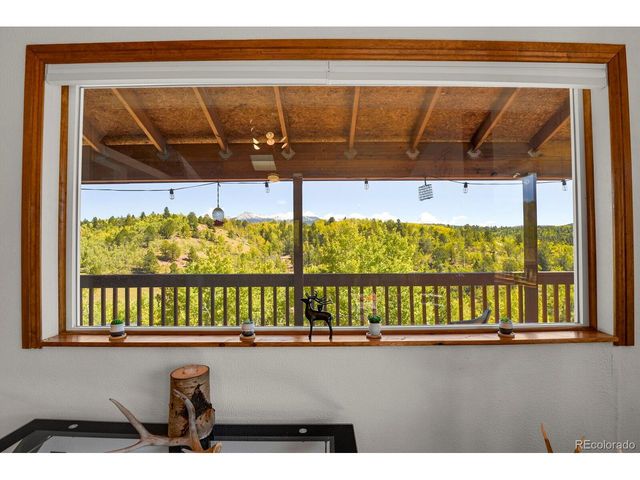 498 Granite Ln, Cripple Creek, CO 80813