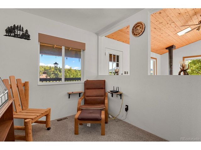 498 Granite Ln, Cripple Creek, CO 80813