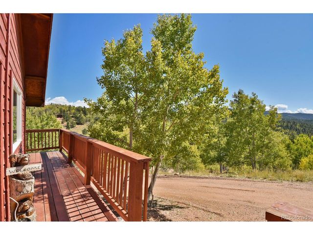 498 Granite Ln, Cripple Creek, CO 80813