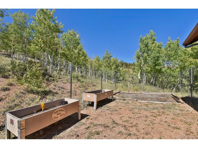 498 Granite Ln, Cripple Creek, CO 80813