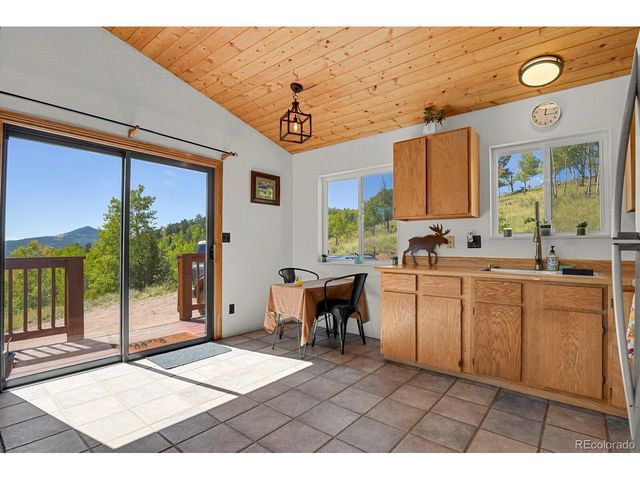498 Granite Ln, Cripple Creek, CO 80813