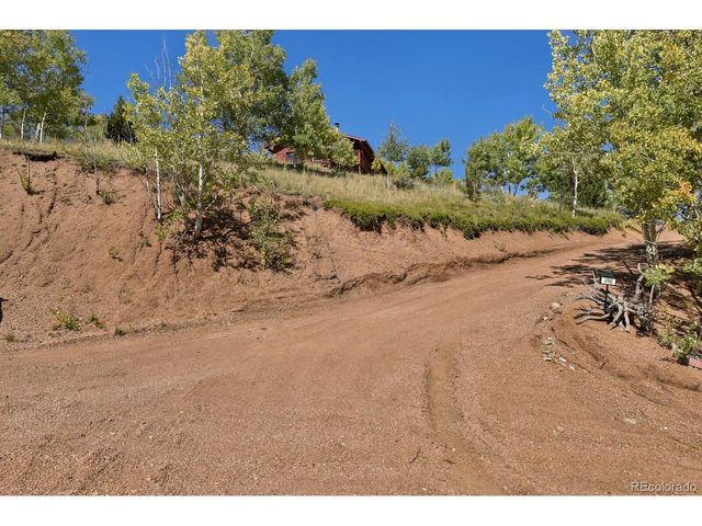 498 Granite Ln, Cripple Creek, CO 80813