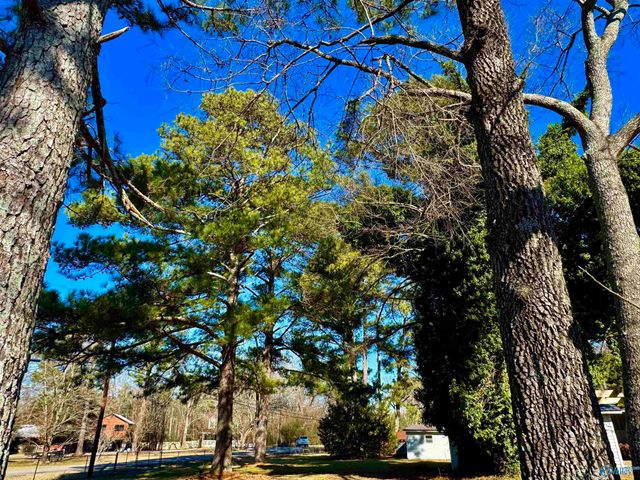 3700 Browns Valley Road, Guntersville, AL 35976