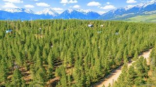 Lot 55 Lodgepole Drive, Twin Lakes, CO 80461