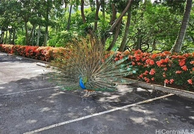 84-680 Kili Drive C1310, Waianae, HI 96792