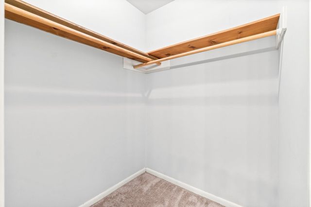 29 W Torch Pine Circle W, The Woodlands, TX 77381