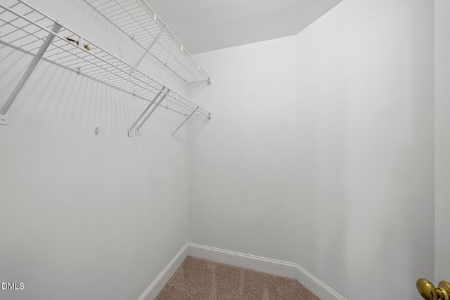 3812 City Of Oaks Wynd, Raleigh, NC 27612