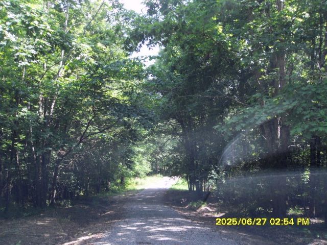 5365 SARDIS DR, Hickory Valley, TN 38068