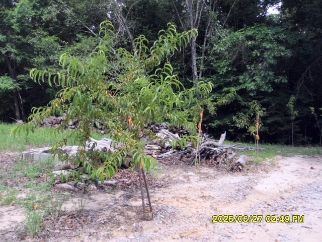 5365 SARDIS DR, Hickory Valley, TN 38068