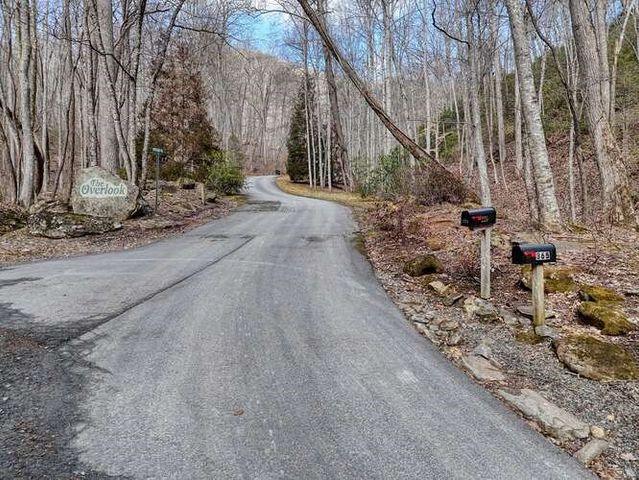 Lot 37 Overlook At Y.H., Young Harris, GA 30582