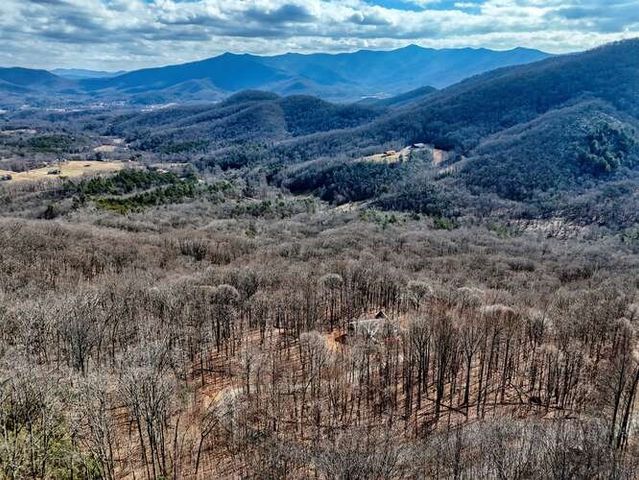 Lot 37 Overlook At Y.H., Young Harris, GA 30582