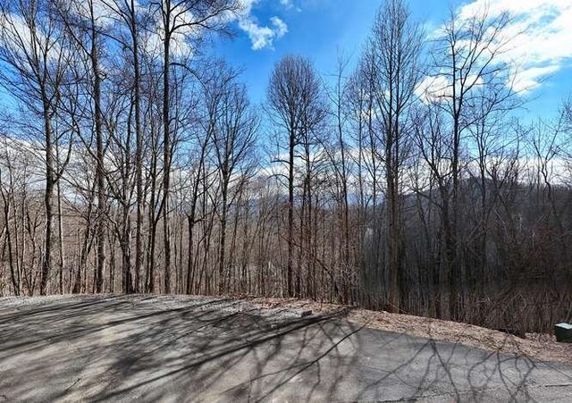 Lot 37 Overlook At Y.H., Young Harris, GA 30582