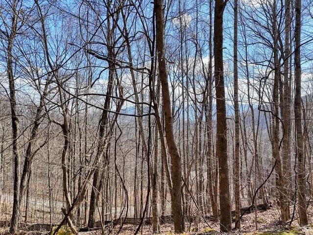 Lot 37 Overlook At Y.H., Young Harris, GA 30582