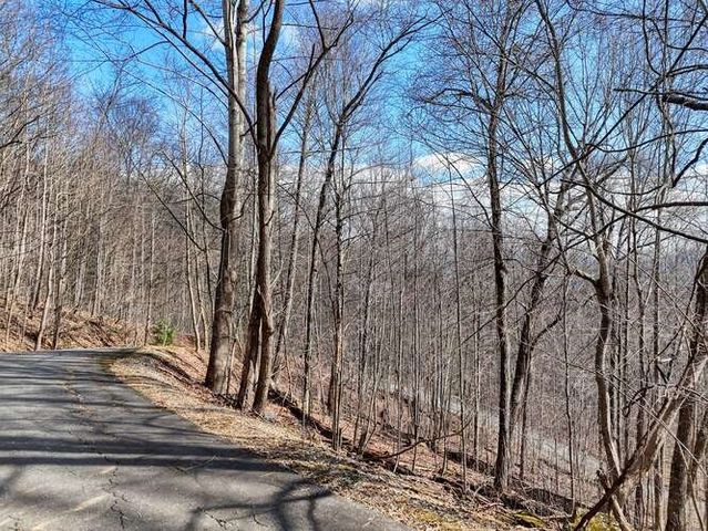 Lot 37 Overlook At Y.H., Young Harris, GA 30582