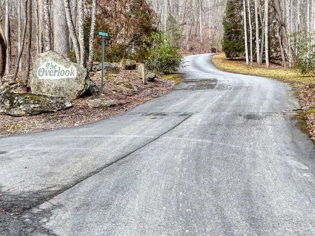 Lot 37 Overlook At Y.H., Young Harris, GA 30582