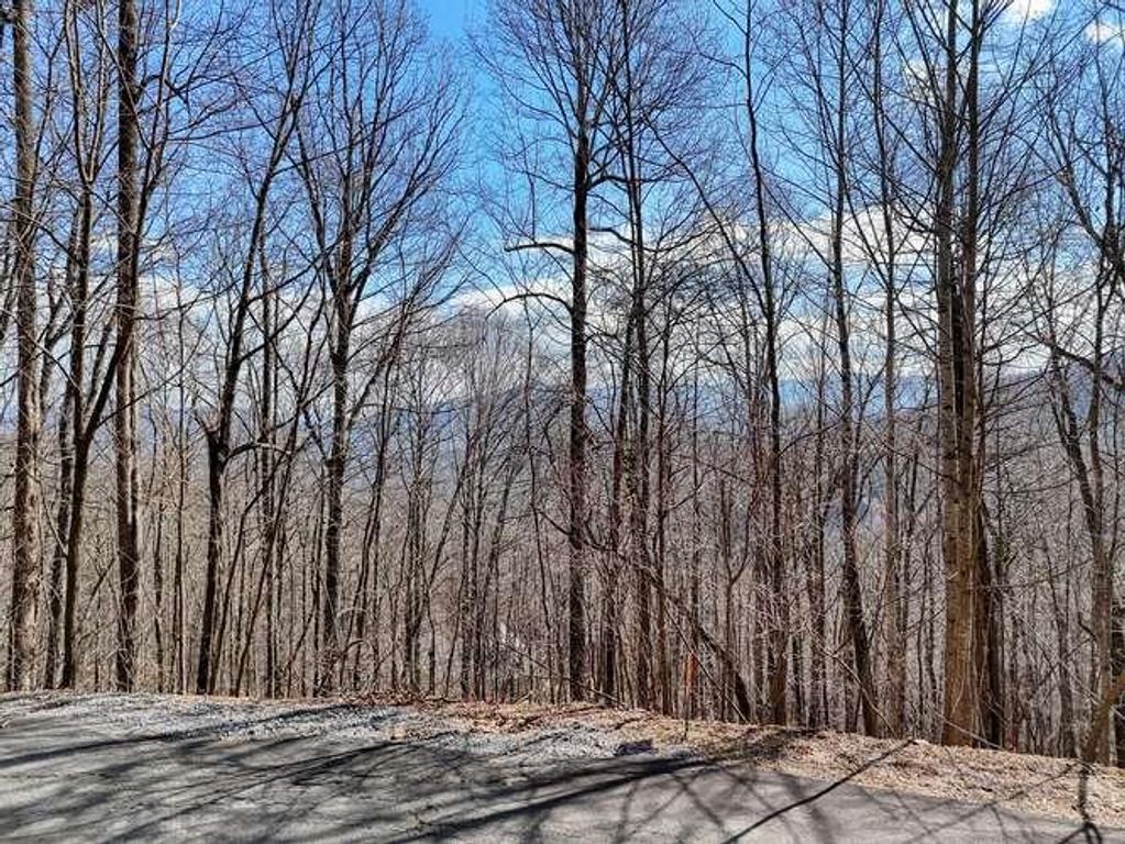 Lot 37 Overlook At Y.H., Young Harris, GA 30582