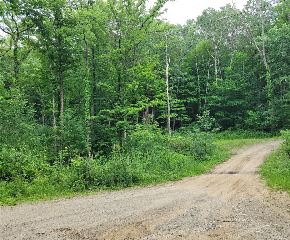 2996 Court Drive, Lowell, MI 49331