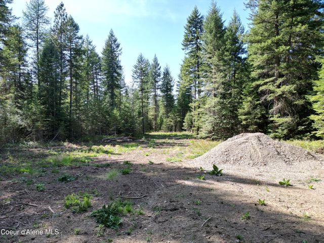 lot 3 Werre RD, Rathdrum, ID 83858