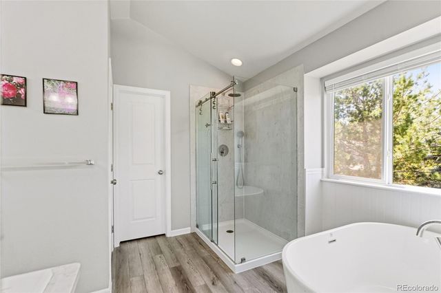 10094 Rockrose Court, Parker, CO 80134