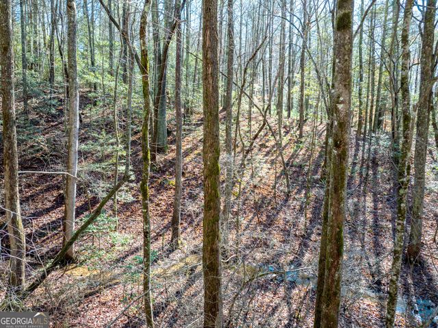 3.38 ACRES Bates Drive, Ellijay, GA 30540