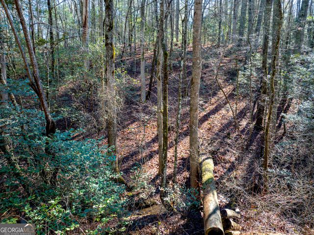 3.38 ACRES Bates Drive, Ellijay, GA 30540