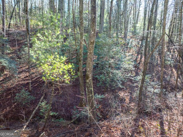 3.38 ACRES Bates Drive, Ellijay, GA 30540