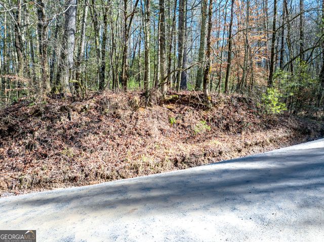 3.38 ACRES Bates Drive, Ellijay, GA 30540