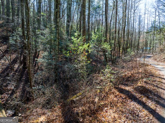 3.38 ACRES Bates Drive, Ellijay, GA 30540