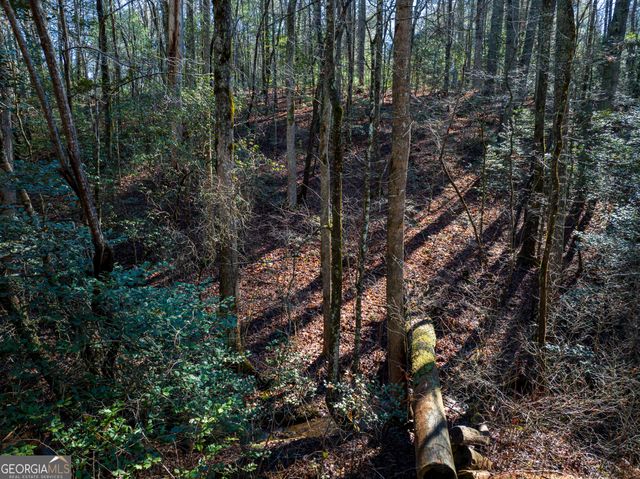 3.38 ACRES Bates Drive, Ellijay, GA 30540
