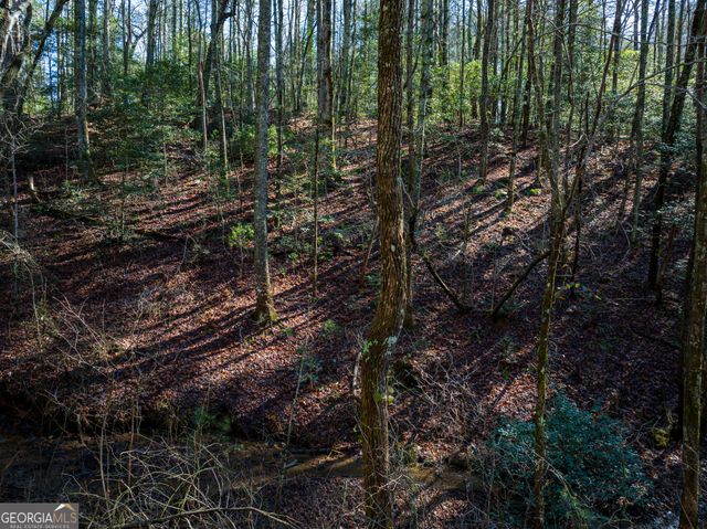 3.38 ACRES Bates Drive, Ellijay, GA 30540