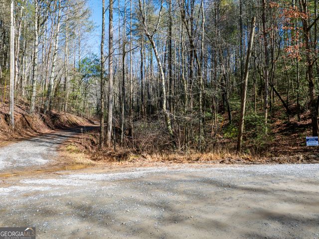 3.38 ACRES Bates Drive, Ellijay, GA 30540