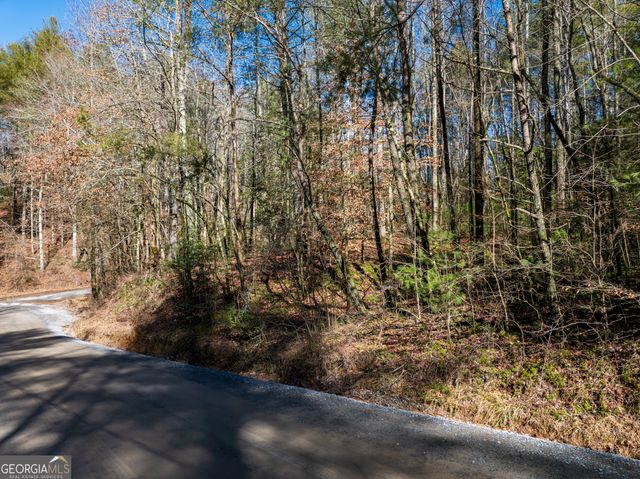 3.38 ACRES Bates Drive, Ellijay, GA 30540
