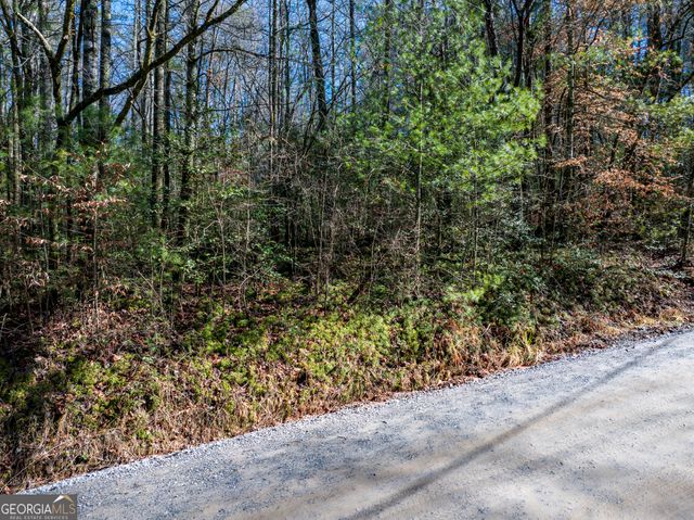 3.38 ACRES Bates Drive, Ellijay, GA 30540
