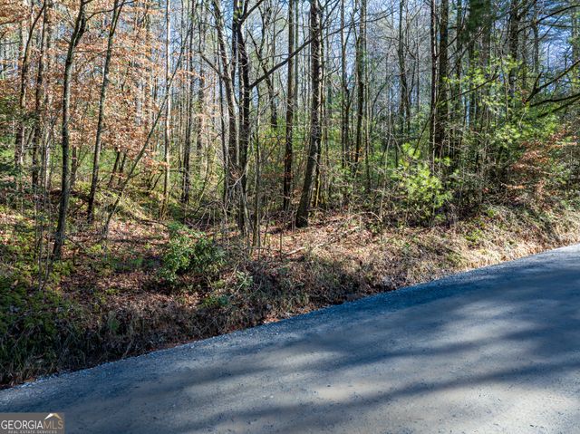 3.38 ACRES Bates Drive, Ellijay, GA 30540
