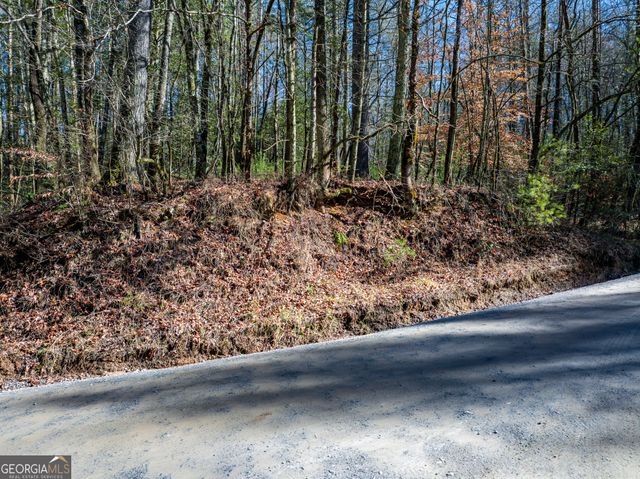 3.38 ACRES Bates Drive, Ellijay, GA 30540