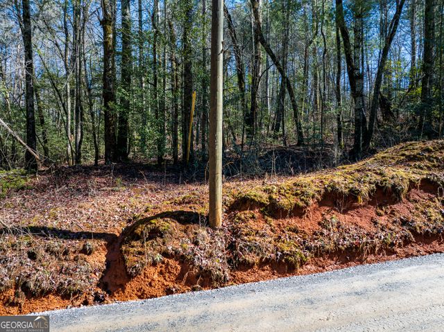 3.38 ACRES Bates Drive, Ellijay, GA 30540