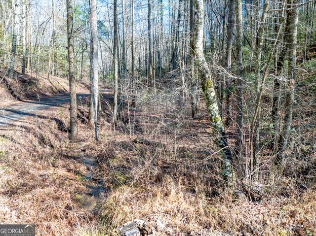 3.38 ACRES Bates Drive, Ellijay, GA 30540