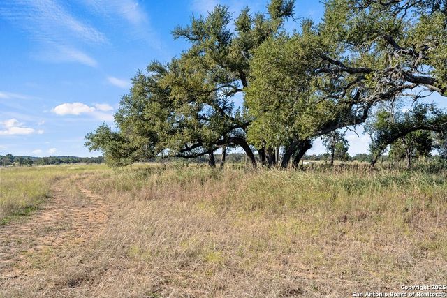307 Gold-Schaefer Rd, Fredericksburg, TX 78624