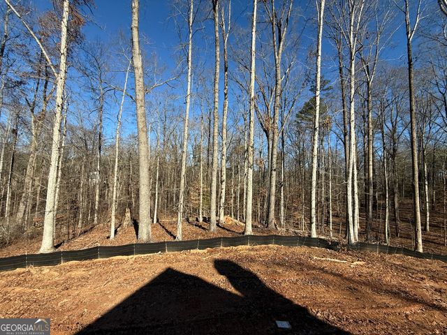 91 LENTEN ROSE Lane, Pendergrass, GA 30567