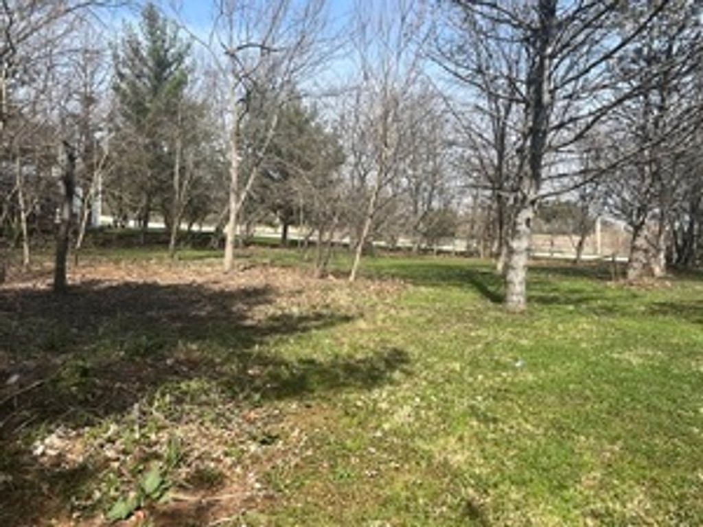 14930 S Will Cook Road, Homer Glen, IL 60491 — photo 2