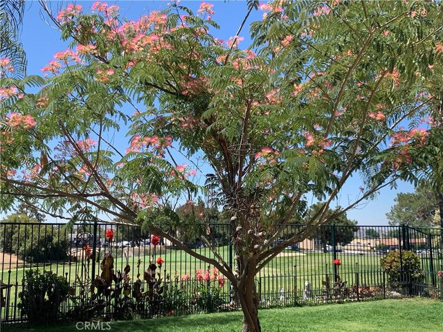 33111 Eagle Point, Yucaipa, CA 92399