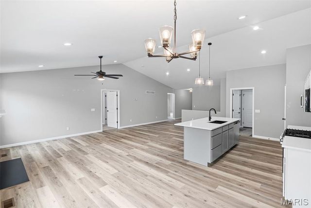 1737 Old Park Lane, Swansea, IL 62226