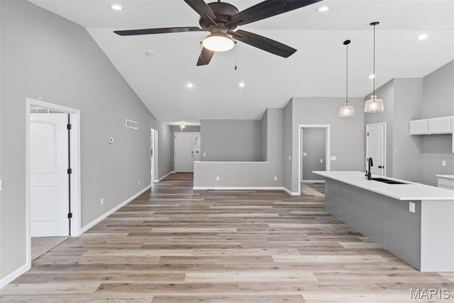 1737 Old Park Lane, Swansea, IL 62226