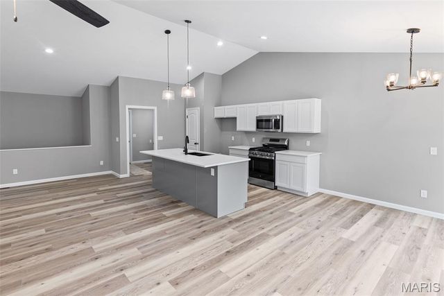 1737 Old Park Lane, Swansea, IL 62226