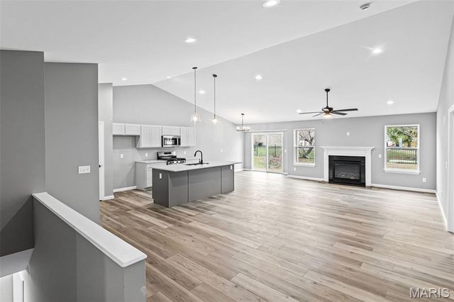 1737 Old Park Lane, Swansea, IL 62226