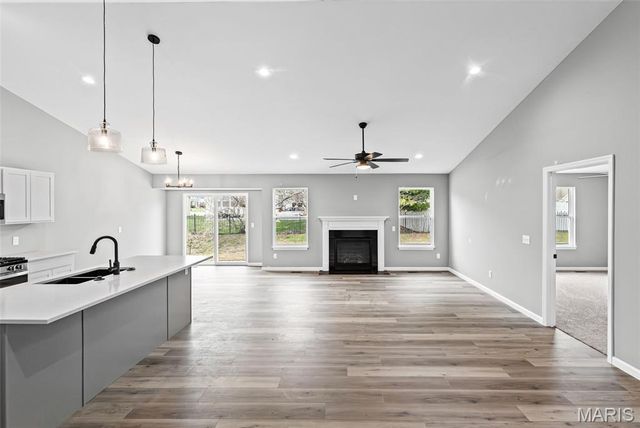 1737 Old Park Lane, Swansea, IL 62226