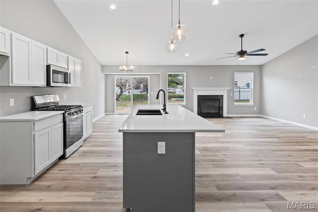 1737 Old Park Lane, Swansea, IL 62226